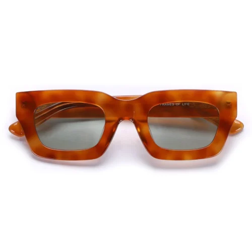 GAFAS DE SOL ARMO CAREY JOHNOCERA